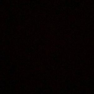 Meet your Posher, Arlene